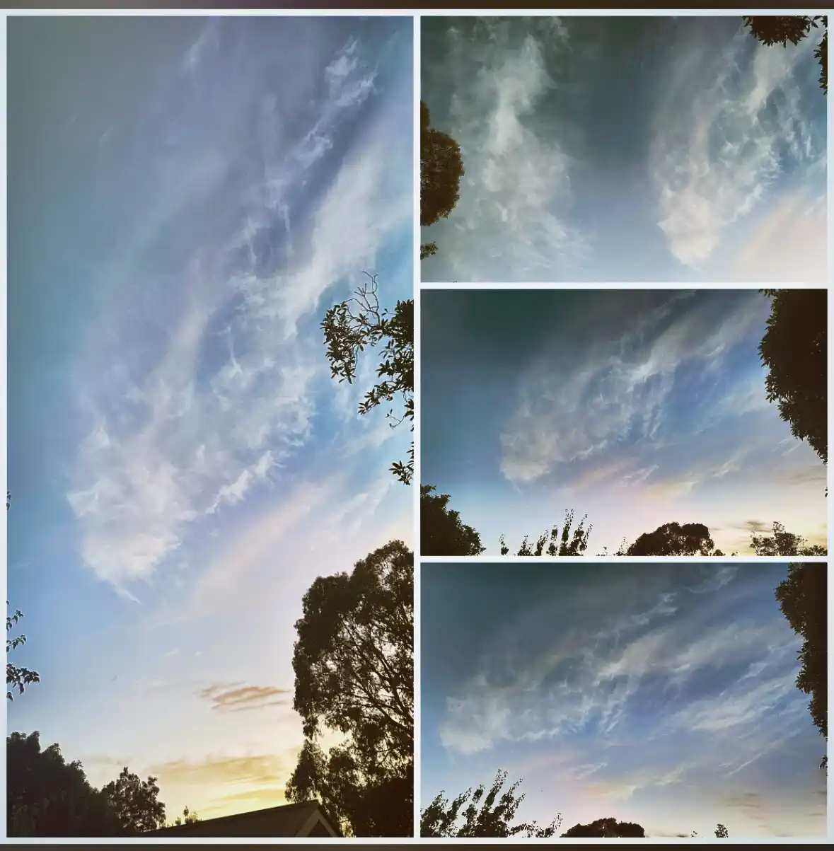 A collage of four photos showing a sky with wispy, streaky clouds against a blue and orange sunset, framed by tree…