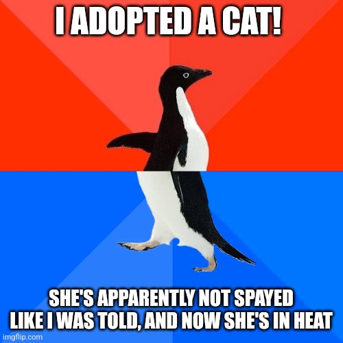 A penguin stands in a split red and blue background, looking upward with a neutral expression. The top text reads 'I ADOPTED…