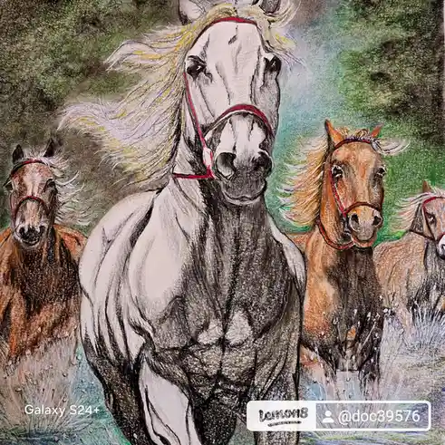 A colorful drawing of four horses running through water, with the central white horse having exaggeratedly defined muscles…