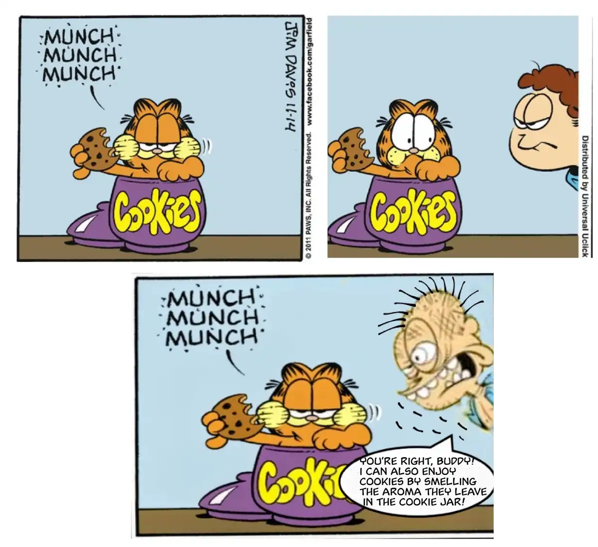 The comic strip shows Garfield eating cookies from a purple jar labeled 'Cookies' while making 'MUNCH MUNCH MUNCH' sounds…