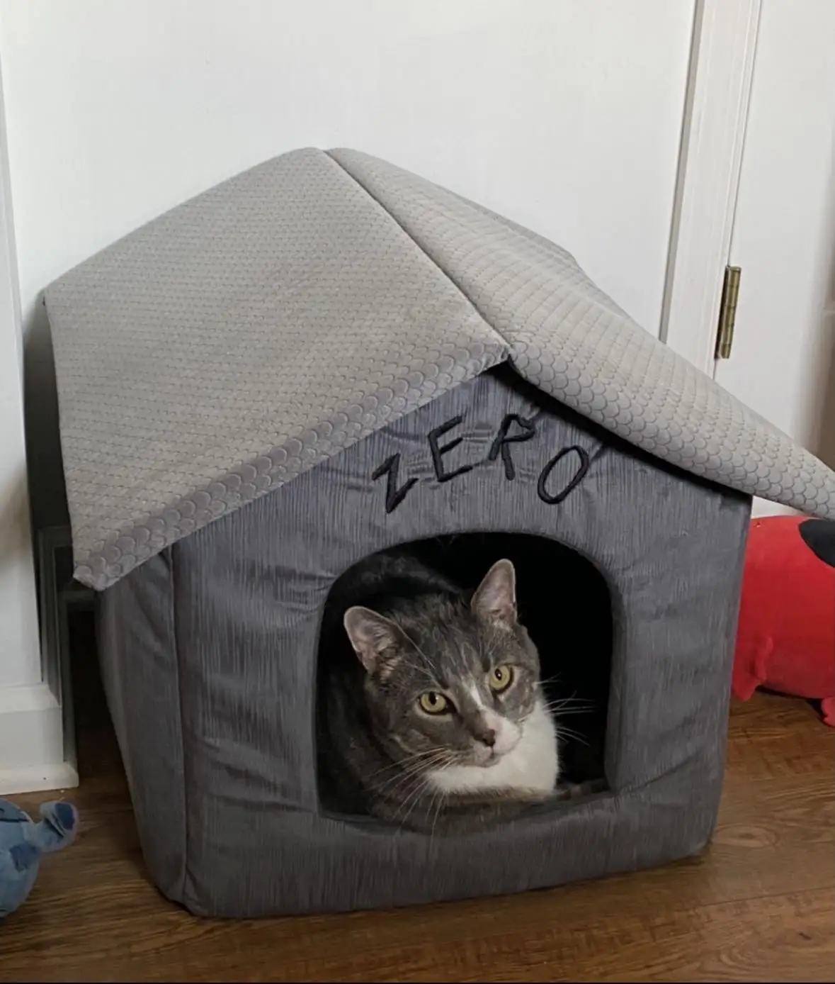 A gray tabby cat with a white chest sits inside a gray fabric doghouse-style pet bed, looking out with a neutral expression…
