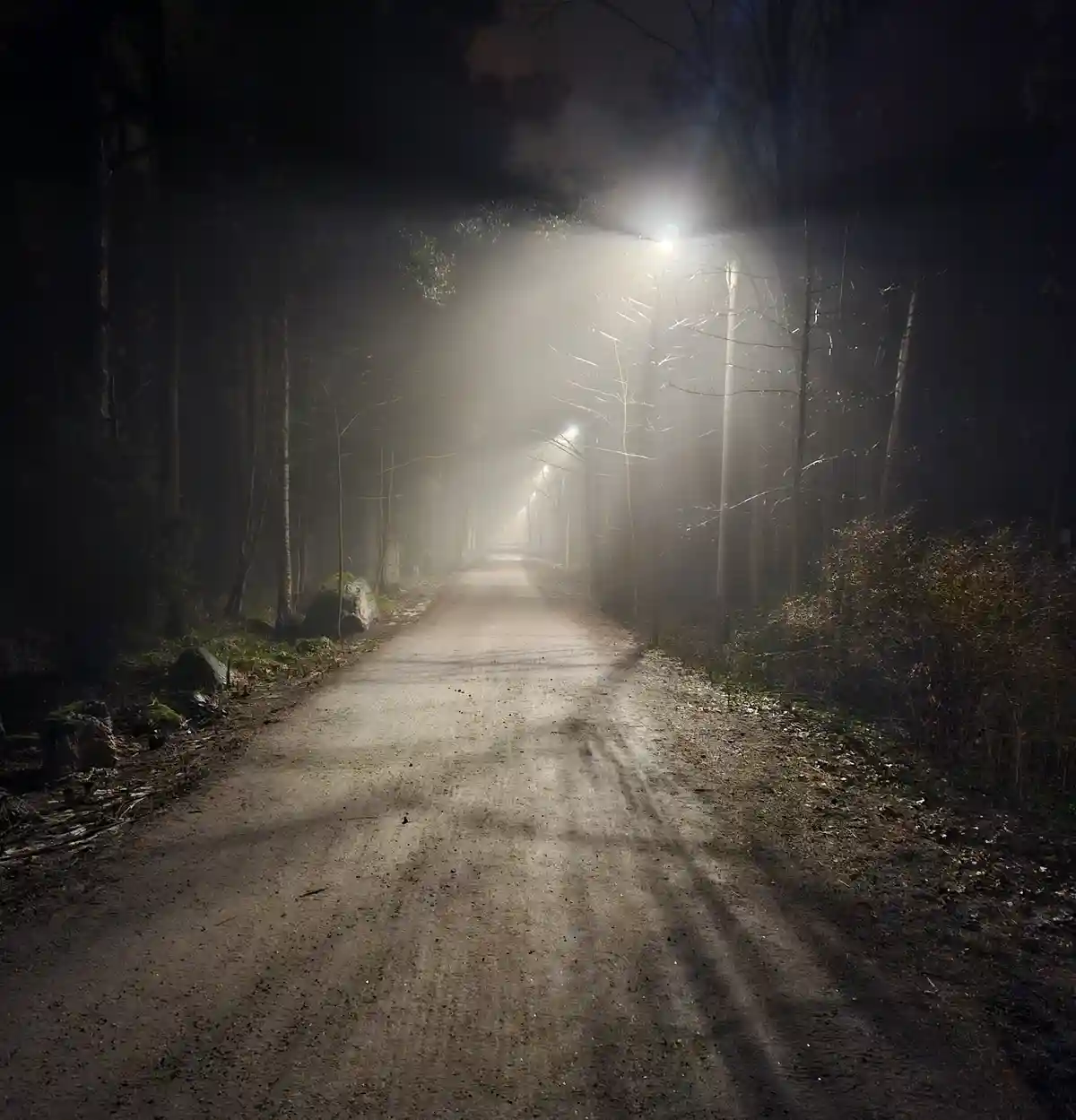 A foggy, dimly lit path at night in a forest, illuminated by a series of streetlights casting beams through the mist. The…