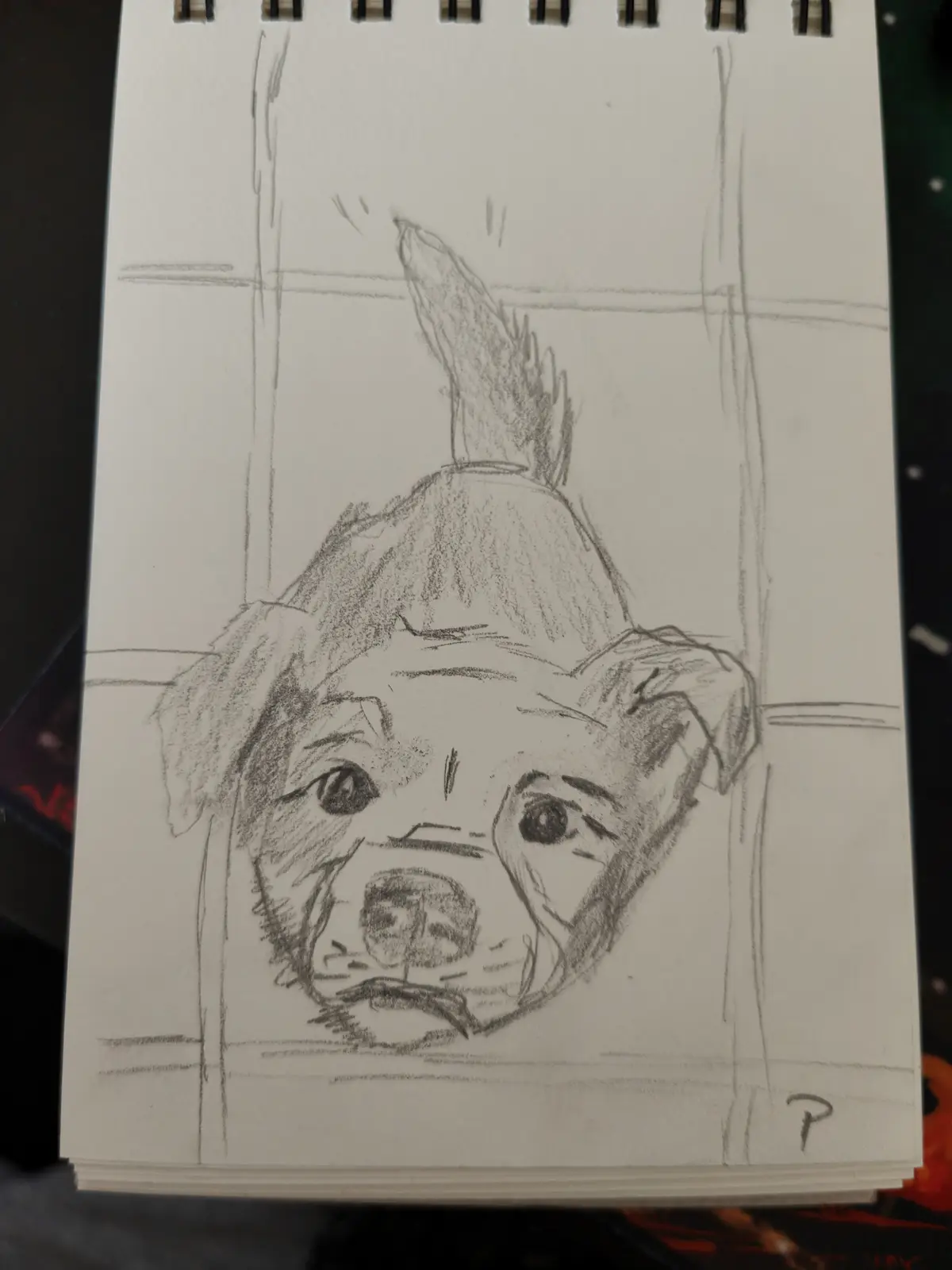 A pencil sketch on a spiral-bound notebook shows a dog's head looking up with a pleading expression, its tail raised. The…