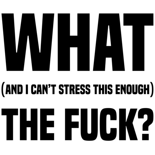 A white background with bold black text that reads 'WHAT (AND I CAN'T STRESS THIS ENOUGH) THE FUCK?' in large, blocky…