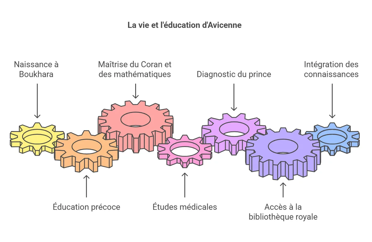 A diagram showing the life and education of Avicenna as a sequence of interlocking gears, each labeled with a stage…