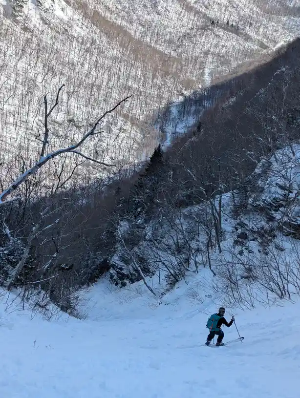 A skier in a teal backpack and black gear stands on a snowy slope, looking down a steep, tree-covered valley. The text…