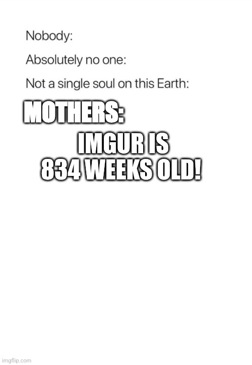 A white background image displays text in a hierarchical list format. The top lines read 'Nobody:', 'Absolutely no one:'…
