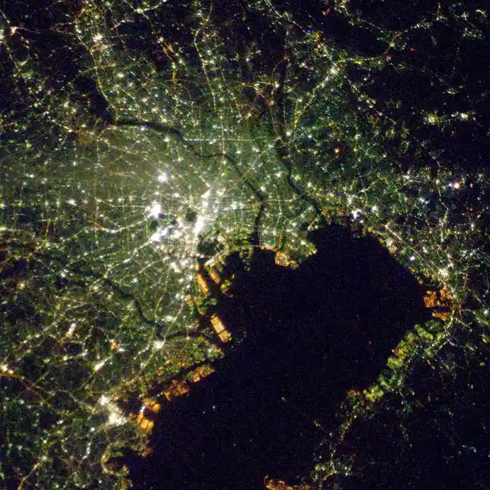 Tokyo Comes Alive at Night