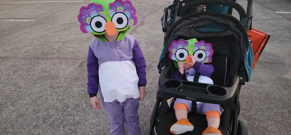 Sibling Costume Coordination: The Big One Insists the Little One Matches!