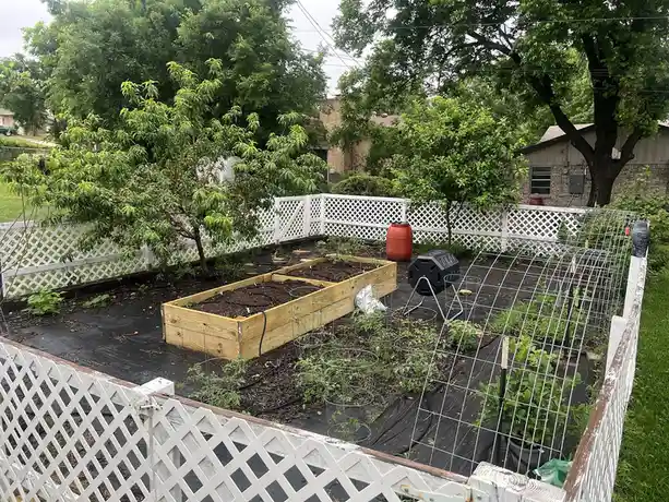 An overhead view of a backyard garden enclosed by a white lattice fence, featuring a wooden raised bed, various young plants…