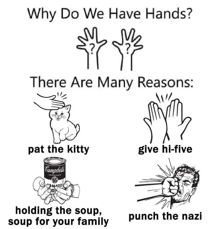 A black-and-white meme with the title 'Why Do We Have Hands?' followed by four illustrated examples: patting a cat, giving a…