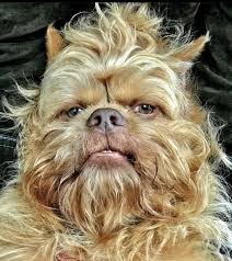 I stumbled upon my look-alike!