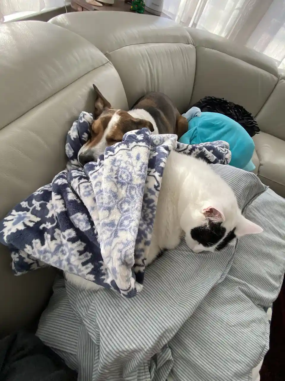 Embrace the Cozy Vibes: Happy Cuddle Puddle Sunday!