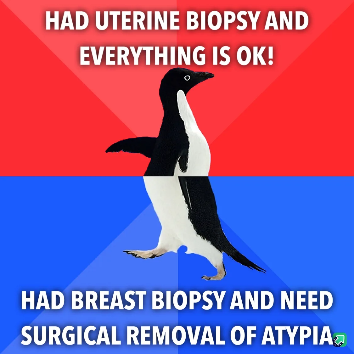 A penguin stands centered against a red and blue background, split horizontally. The top half has white text reading 'HAD…