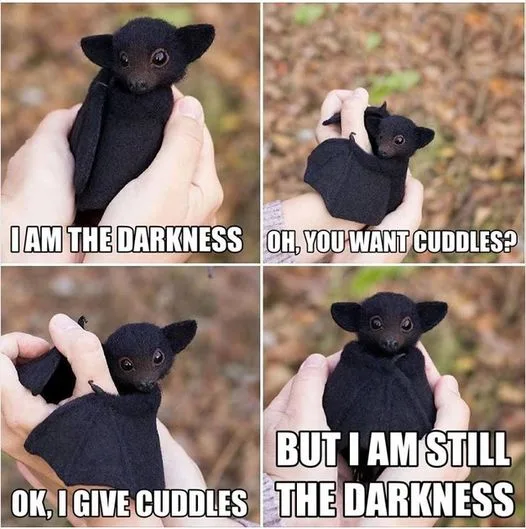 A four-panel meme featuring a small, black baby bat being held in human hands. In the first panel, the bat says 'I AM THE…