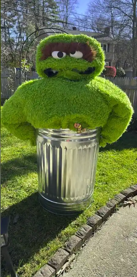 A green, furry Oscar the Grouch puppet is visibly stuck with his upper body emerging from a silver metal trash can, set…