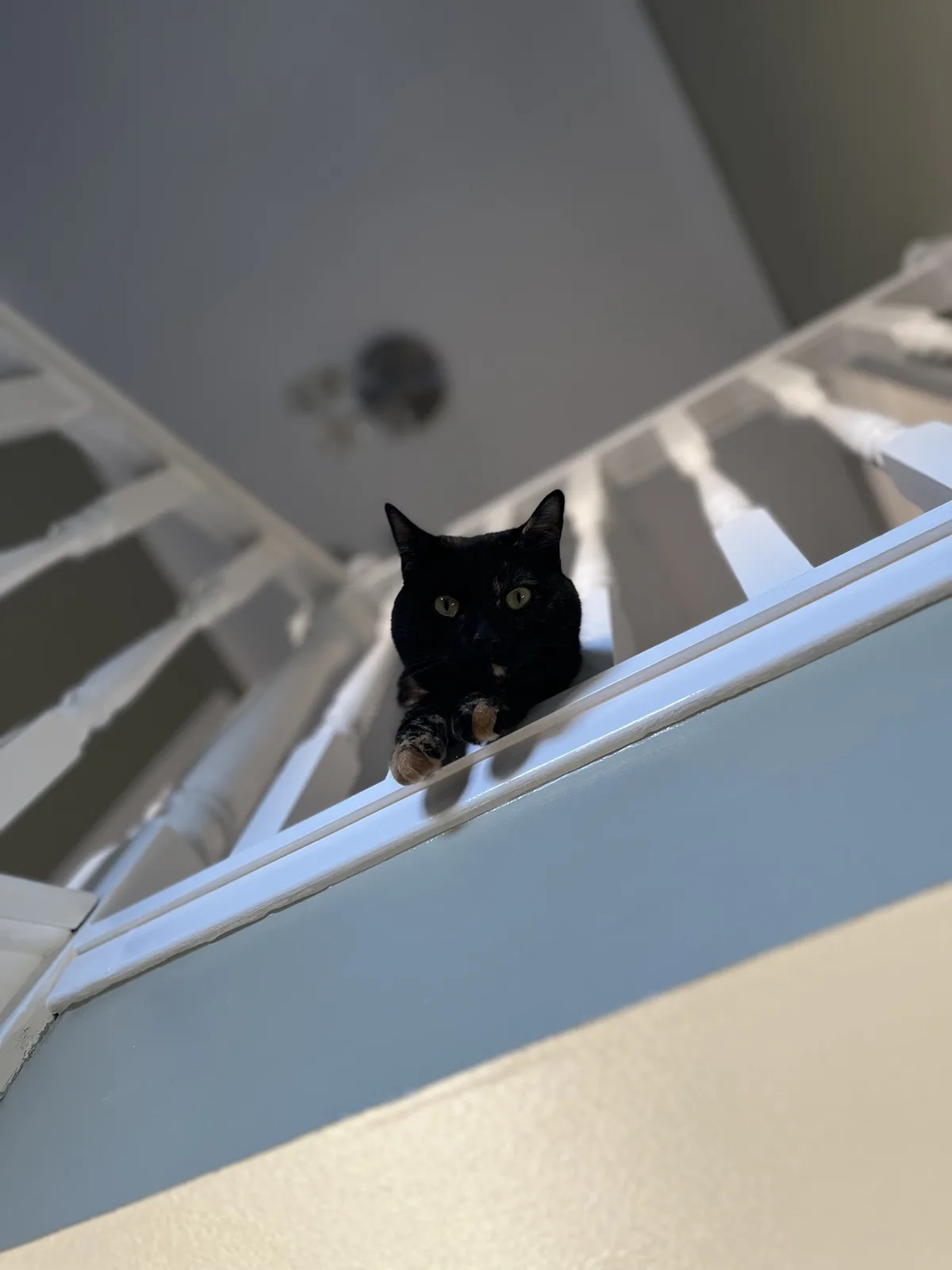 A black cat with green eyes and tabby markings on its paws is perched on a white staircase railing, looking down at the…