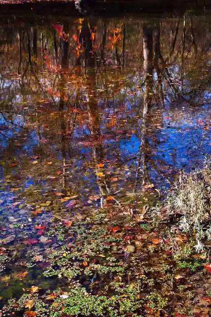 A serene autumn scene shows a shallow, clear stream reflecting vibrant orange and red trees against a deep blue sky, with…