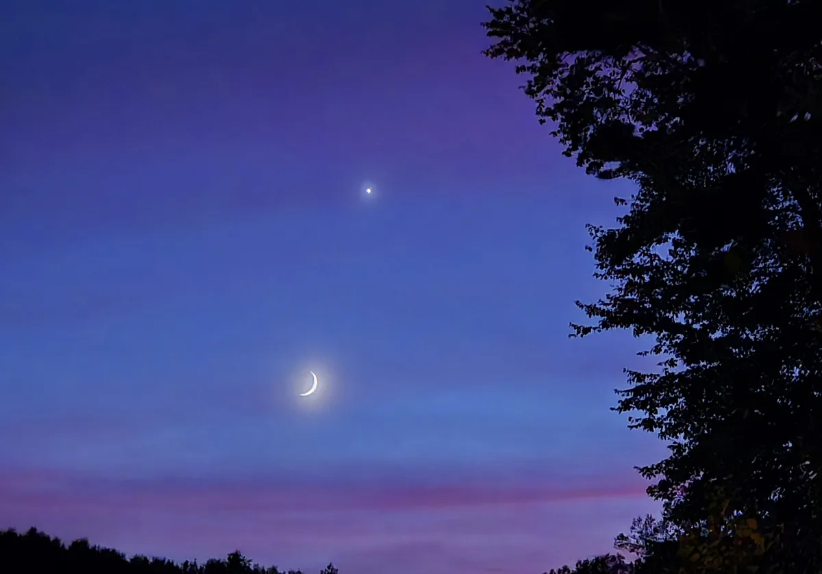 A twilight sky with a crescent moon and a bright star visible, framed by the dark silhouette of tree branches on the right…