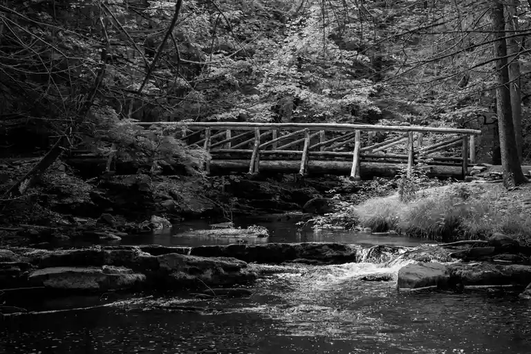 A black-and-white photograph of a rustic wooden bridge spanning a rocky stream in a dense forest. The image features natural…
