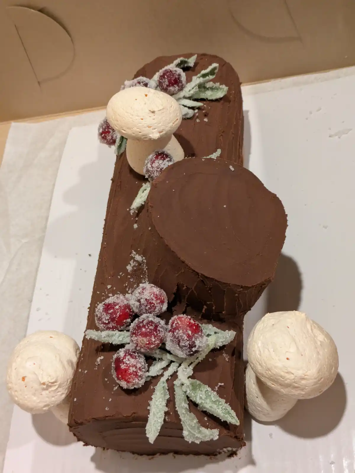 A chocolate-frosted yule log cake decorated with sugared cranberries, sugared sage leaves, and white meringue mushrooms…