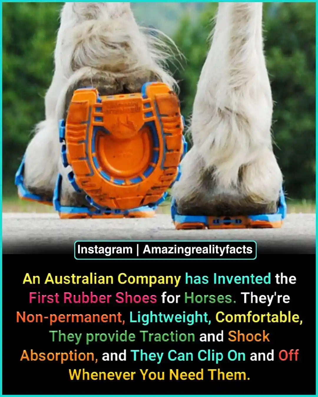 Meet the Innovative Australian Company Making Waves