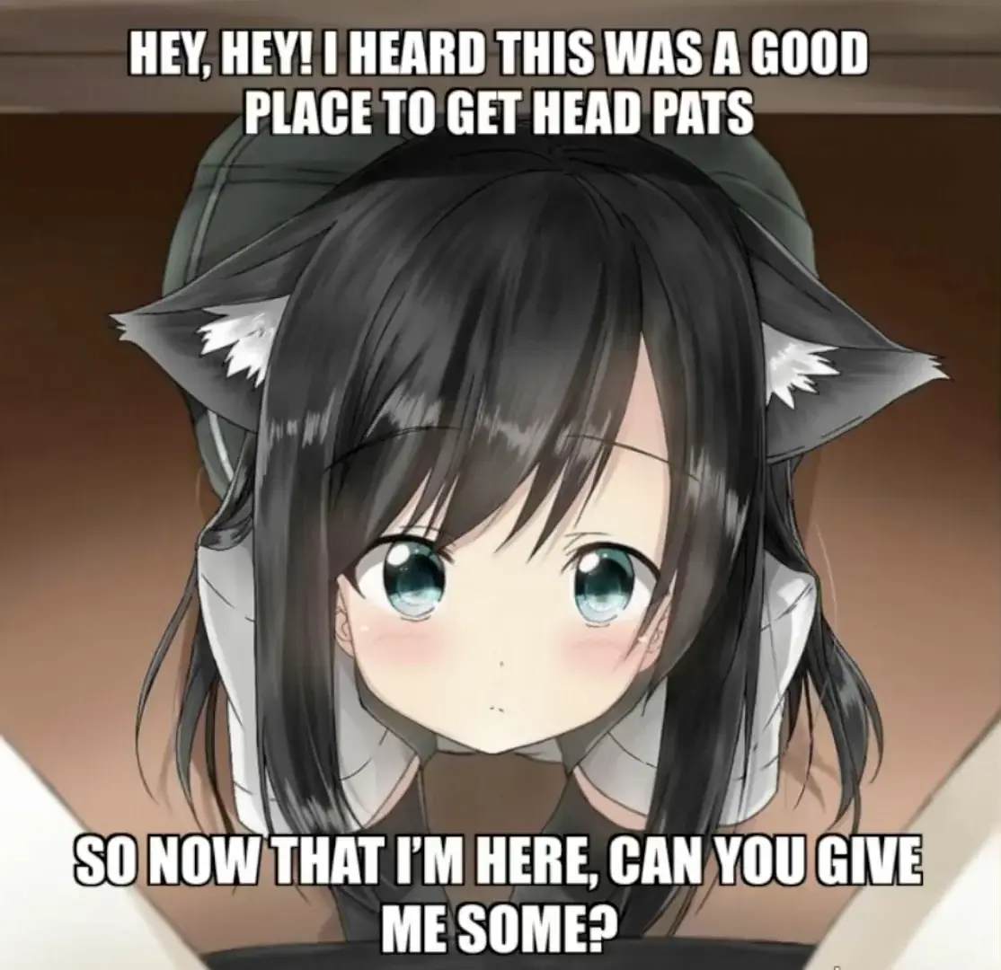 An anime-style girl with black hair and cat ears looks up with a hopeful, slightly blushing expression. The overlaid text…