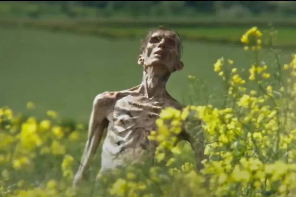 A severely emaciated, skeletal human figure stands in a field of yellow flowers, looking upward with an expression of…