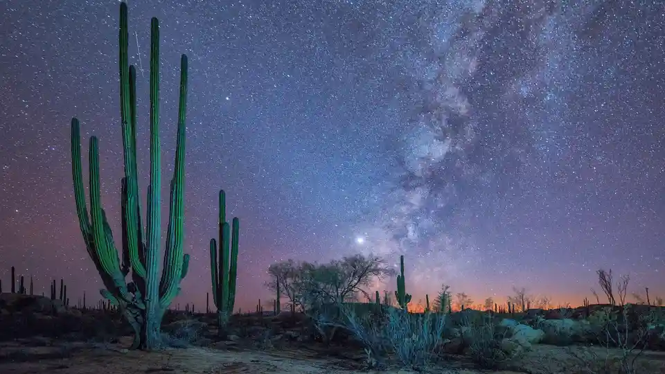 In Baja California's vast and thinly populated desert paradise, the lack of light pollution reveals a breathtaking Milky…