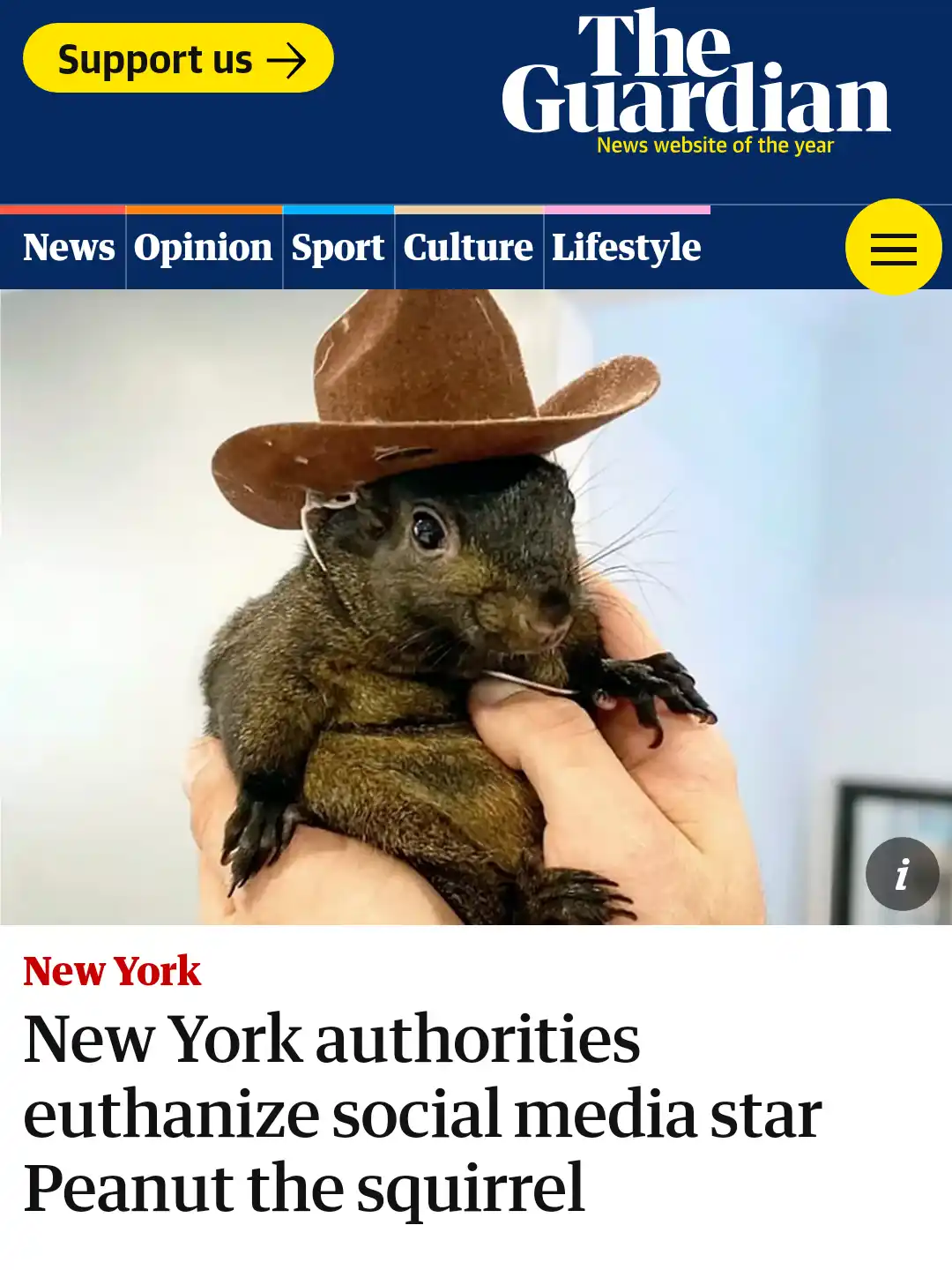 The image displays a screenshot of The Guardian's news website featuring a headline about a squirrel named Peanut. The…