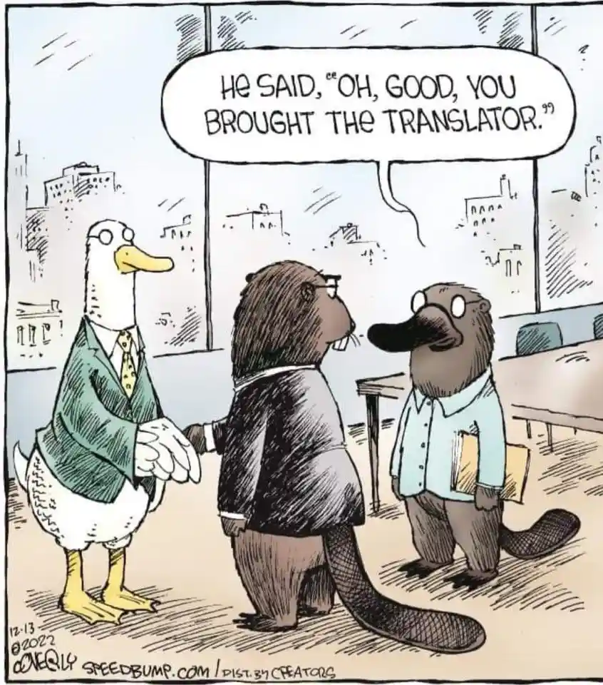 Just LOLing Over Here!