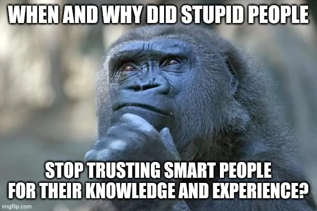 A close-up image of a contemplative gorilla with its hand on its chin, looking thoughtful. The text overlaid in bold white…