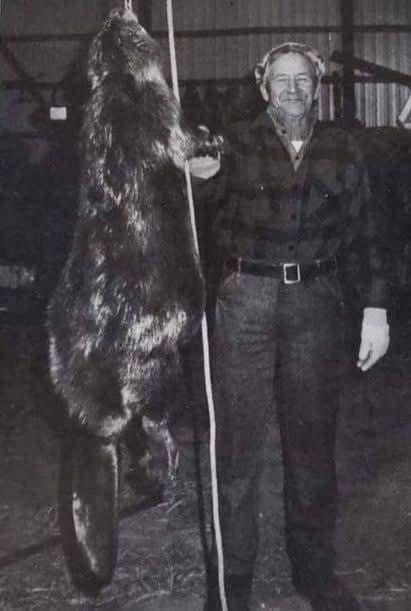 A black-and-white photo shows an older man standing next to a large, mounted wolf pelt hanging from a pole. He is smiling…