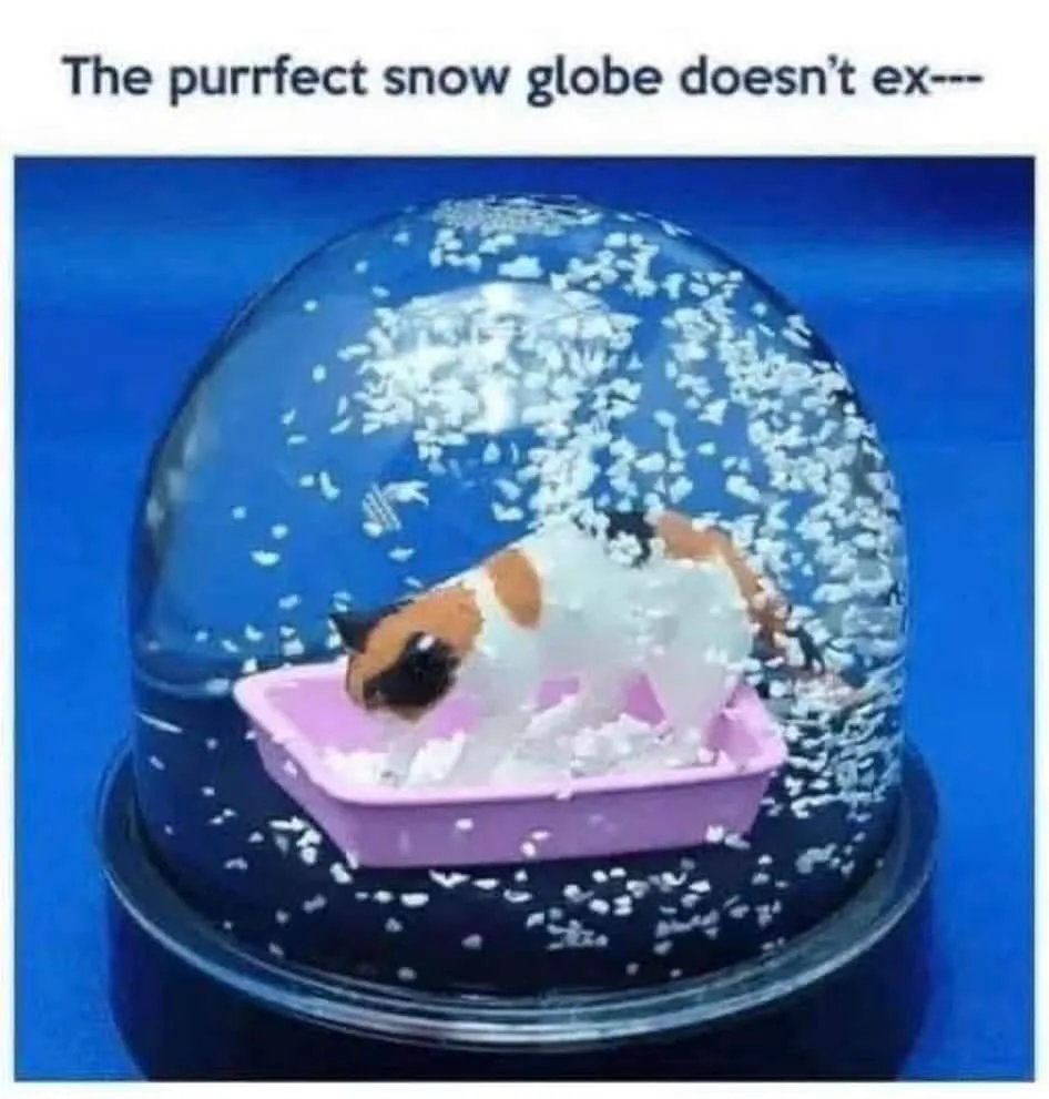 A cat with white, brown, and black fur is inside a snow globe, appearing to be in a pink litter box, surrounded by white…
