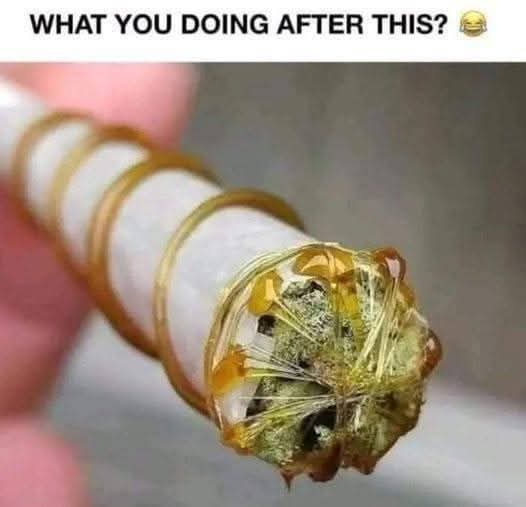 A Tiny Collection of Playfully Stolen Memes and More #65
