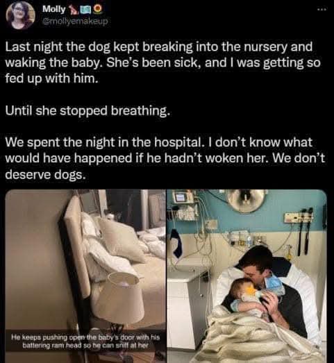 A two-panel image shows a dog pushing open a baby's door with its head in a bedroom, and a man holding a baby in a hospital…