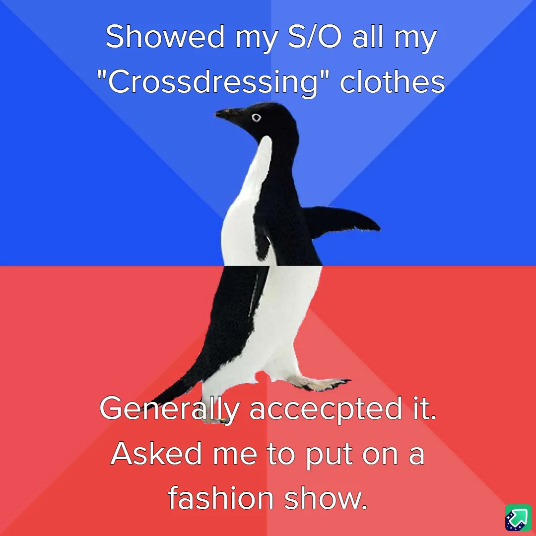 A penguin stands centered against a blue and red background, split horizontally. White text at the top reads 'Showed my S/O…