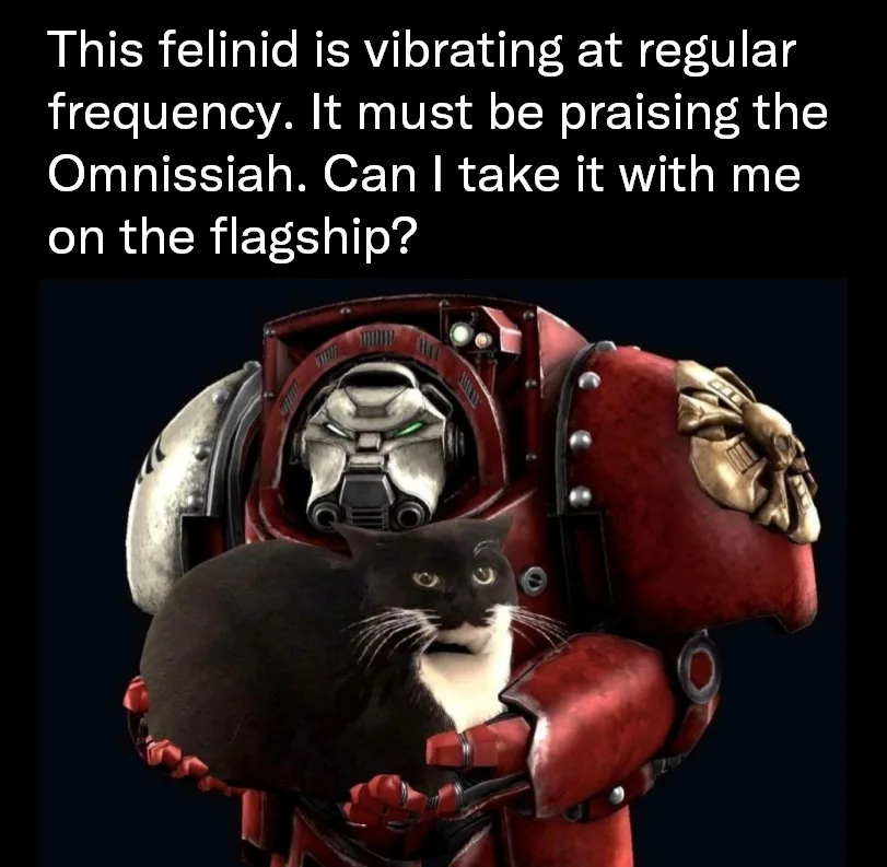 A black and white cat is being held in the arms of a red-armored Space Marine from Warhammer 40,000. The text above reads…