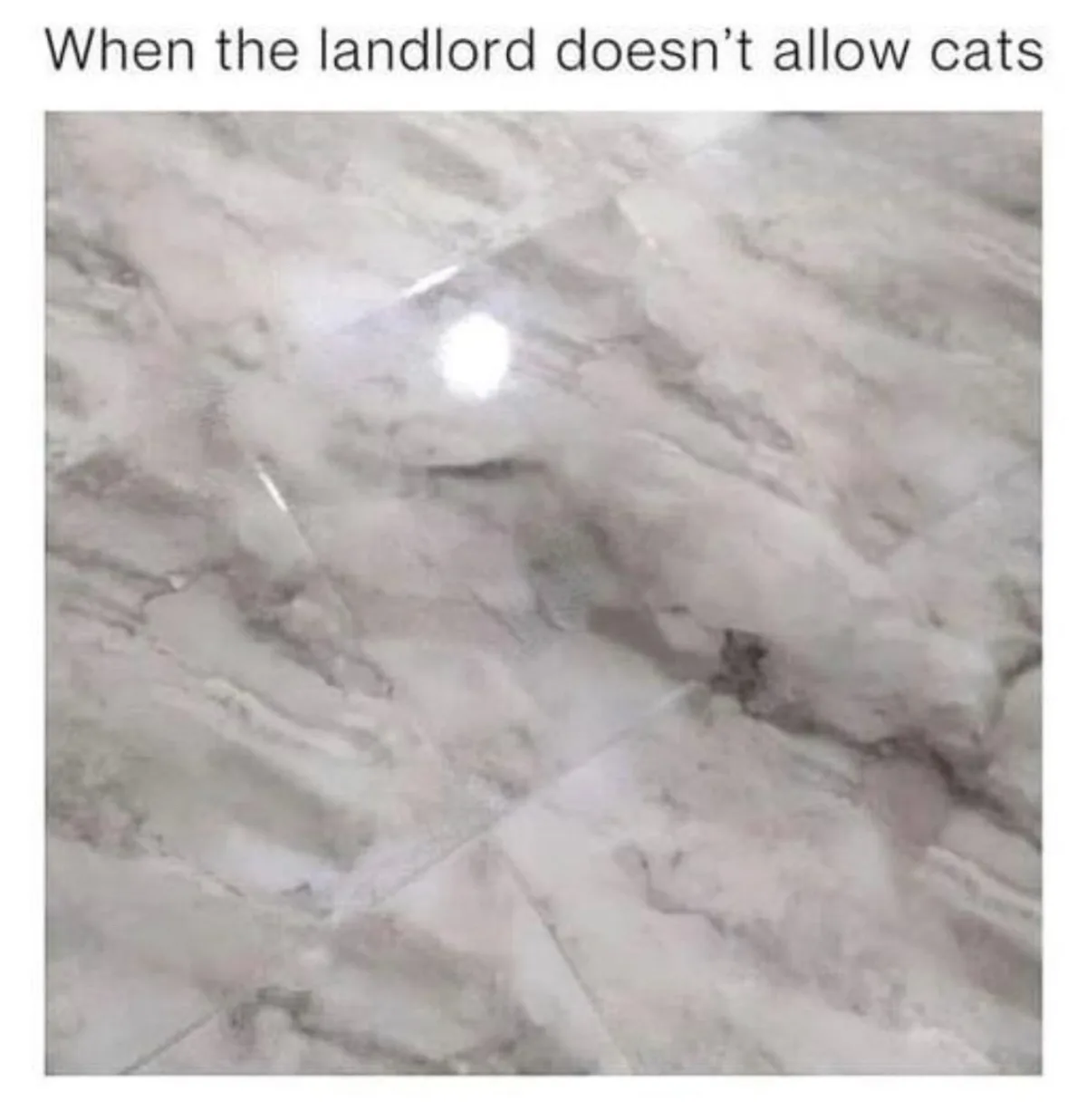The image shows a close-up of a light-colored, veined marble floor with visible grout lines and a bright reflection. The…