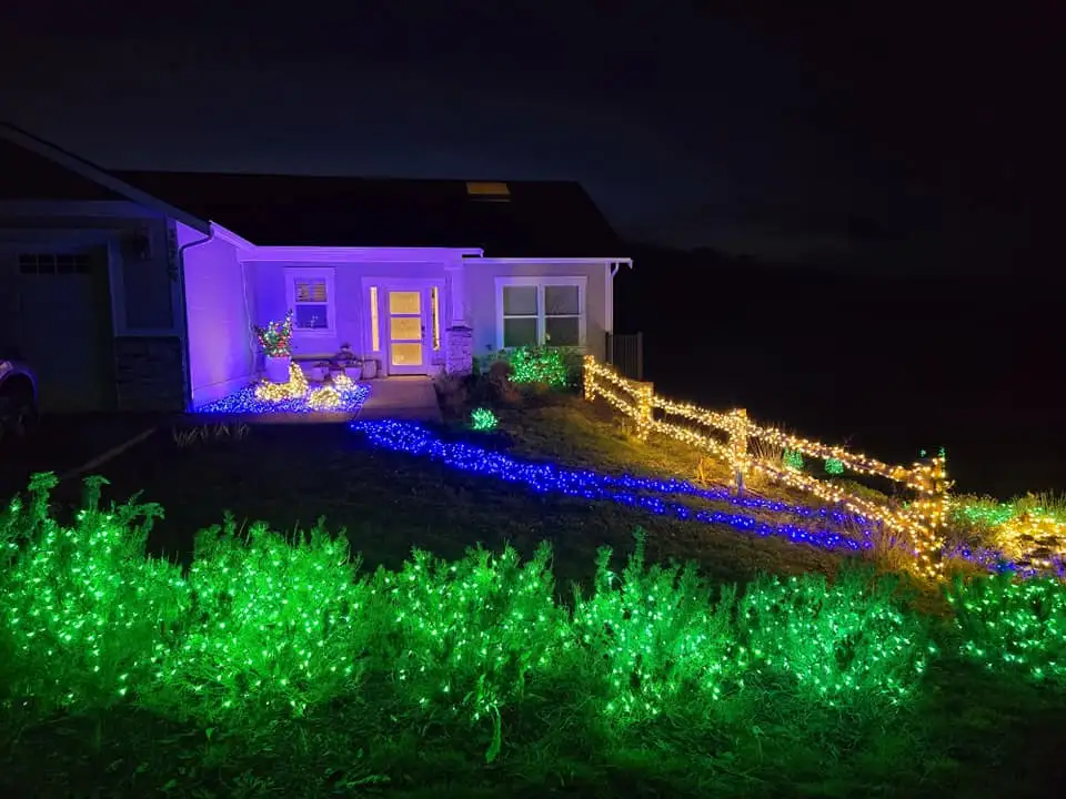 This time of year, my yard shines brighter than a holiday light show!