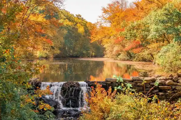 A serene autumn landscape featuring a small waterfall cascading over rocks into a calm river, surrounded by trees with…