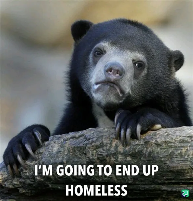 A close-up photo of a black bear with a sad, resigned expression, resting its paws on a log. White text overlaid on the…
