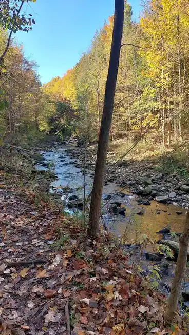 Lost in the Valley's Embrace