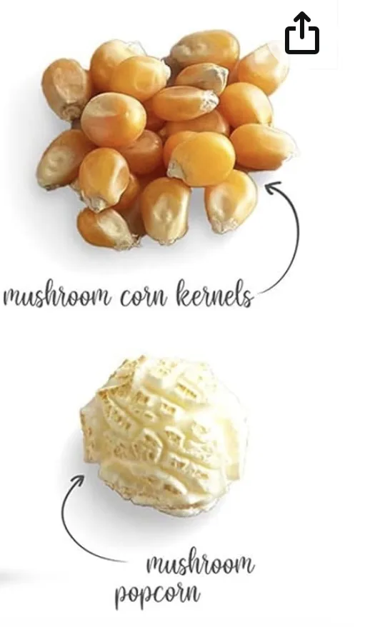 The image displays two distinct items: a pile of yellow corn kernels labeled 'mushroom corn kernels' at the top, and a…