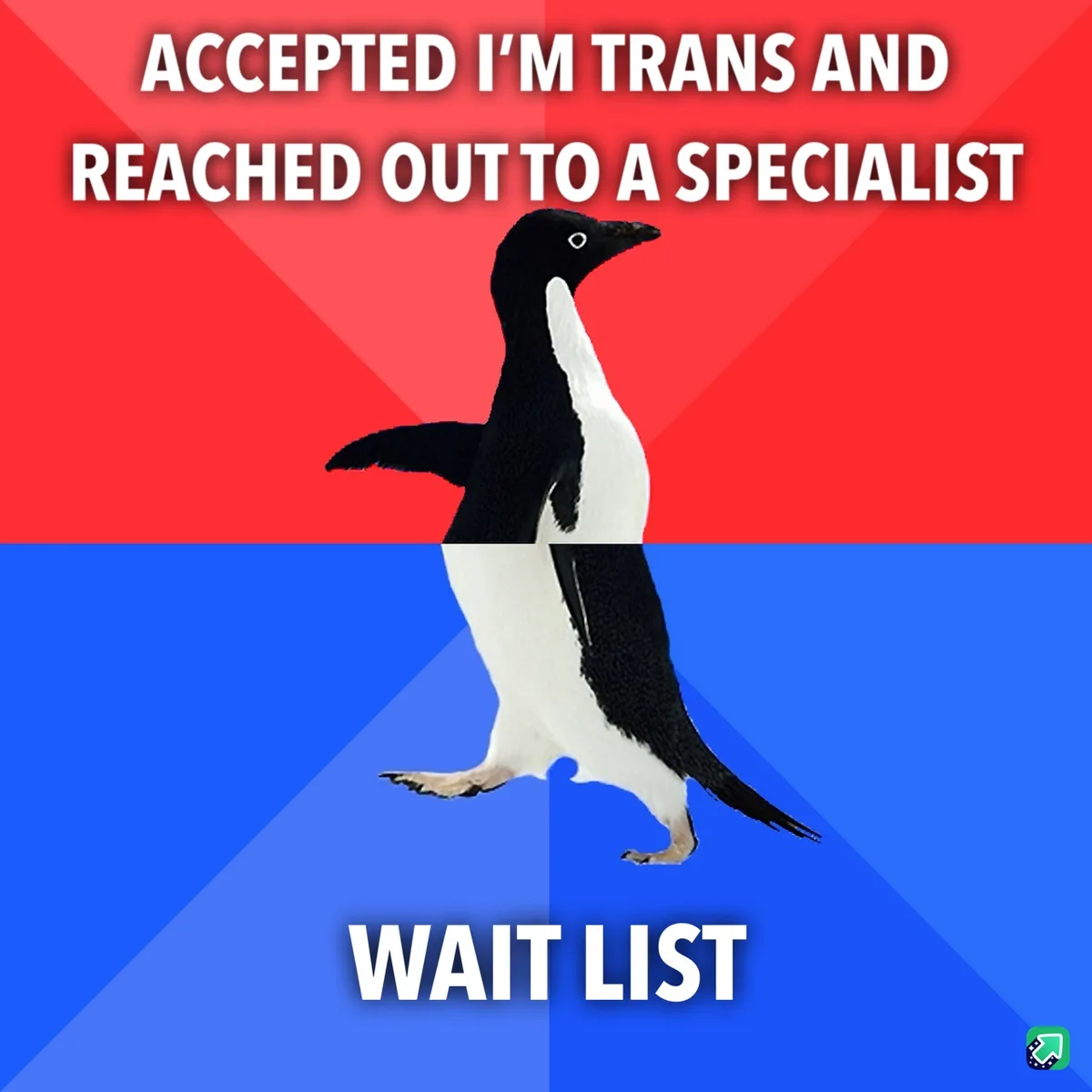 A black-and-white penguin stands centered against a red-and-blue background, with the text 'ACCEPTED I'M TRANS AND REACHED…