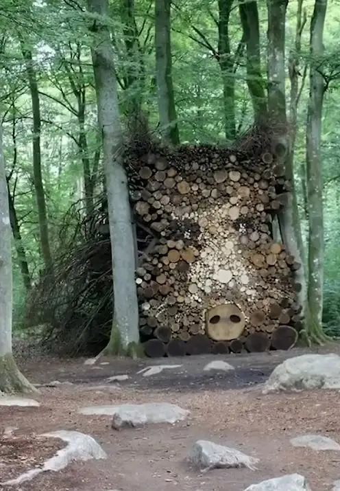 a large, whimsical sculpture of a pig's face is constructed from stacked logs and branches in a forest, with tree trunks…