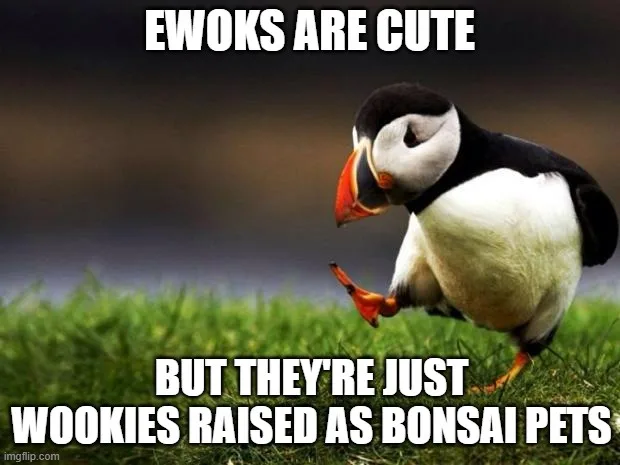 A penguin stands on grass, looking down with one foot lifted, as if contemplating. The text overlaid says 'EWOKS ARE CUTE'…