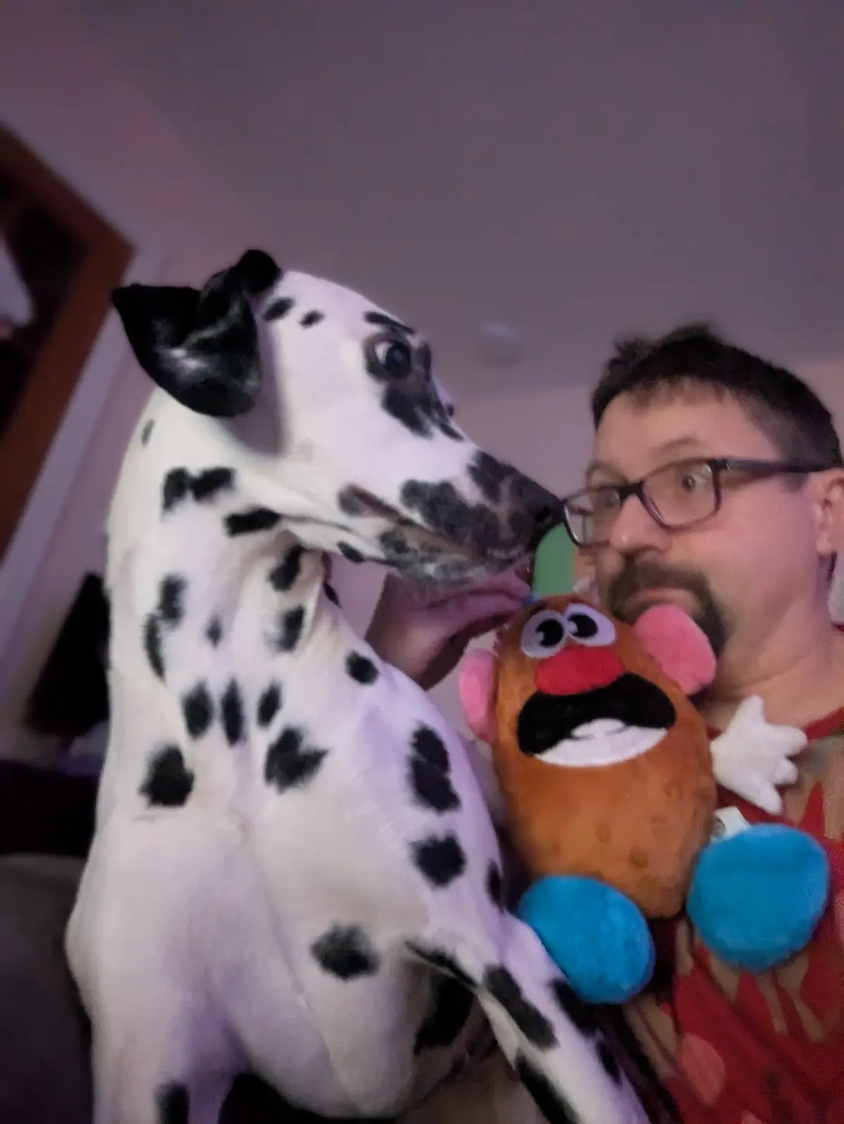 A man with glasses and a goatee holds a Mr. Potato Head plush toy while a Dalmatian dog leans in to sniff or lick the toy…