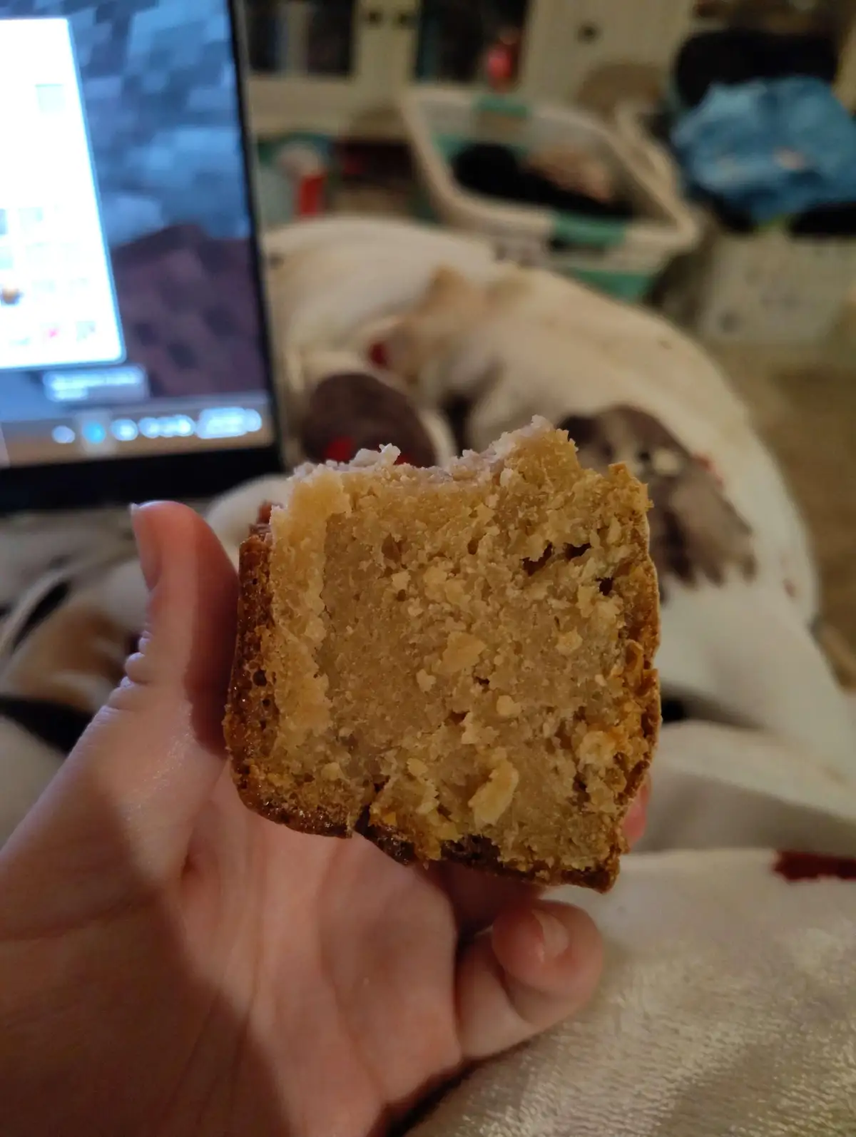 A hand holds up a half-eaten, crumbly, golden-brown baked good, likely a muffin or quick bread, with a laptop screen and a…