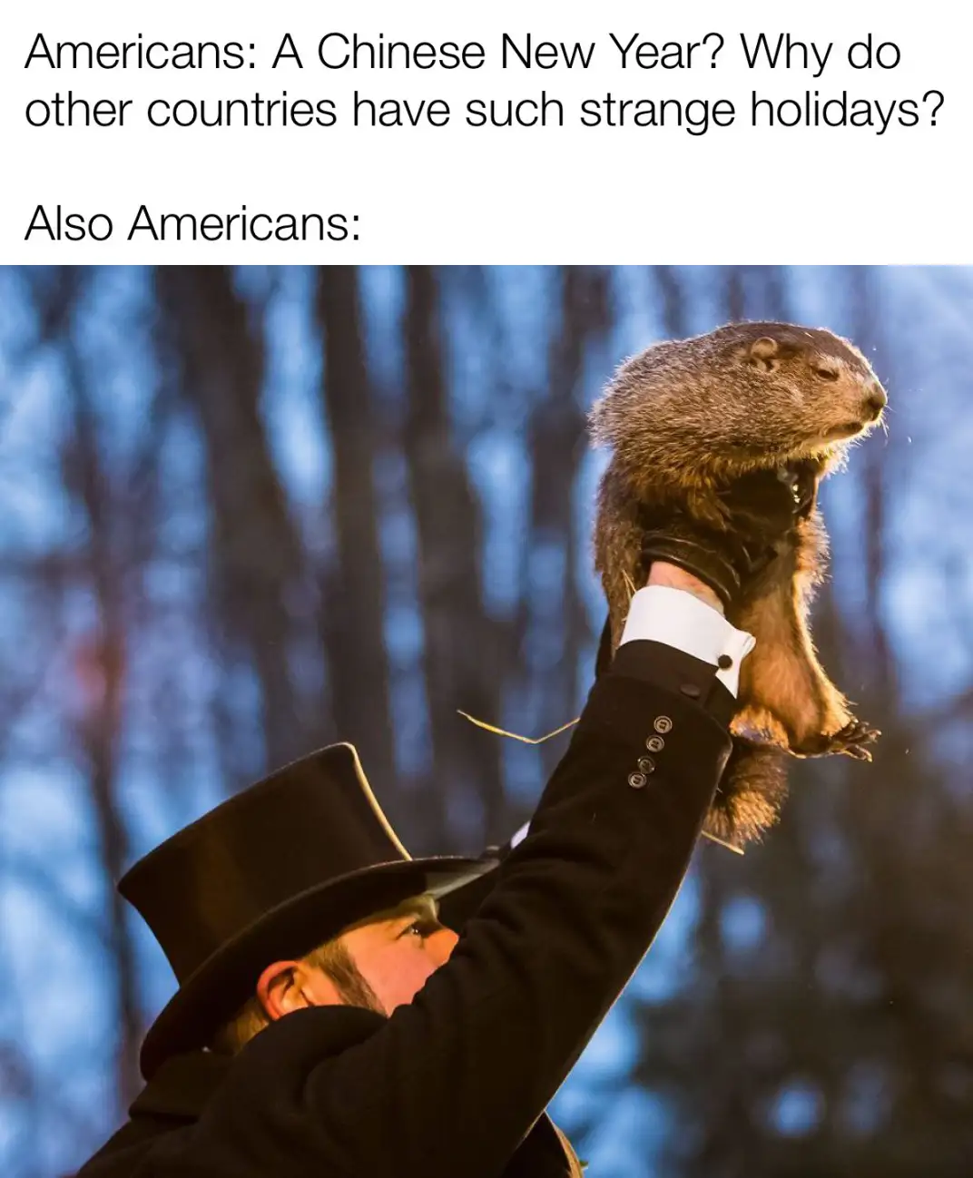 A man in a black top hat and formal coat holds up a groundhog against a blurred blue forest background. The overlaid text…